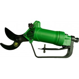 Taiwan Αεροψάλιδο Κλαδέματος