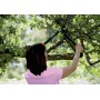 Fiskars Powergear™ (S) L70 Ψαλίδι Κλάδου 46cm για Κλαδιά έως 38mm