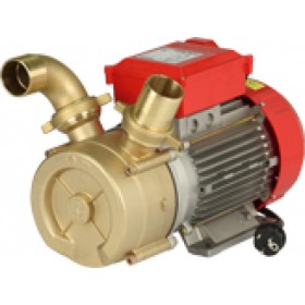 Rover Pompe BE-M 50 Μονοφασική Αντλία Μετάγγισης 3hp Rover Pompe BE-M 50 Μονοφασική Αντλία Μετάγγισης 3hp