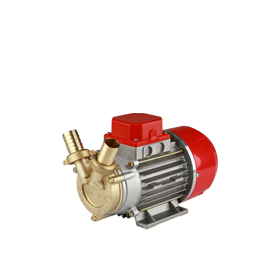 Rover Pompe Marina 25 Αντλία Μετάγγισης 12V 0.6hp Rover Pompe Marina 25 Αντλία Μετάγγισης 12V 0.6hp