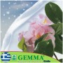 Gemma 17006 Αντιπαγετική Κουκούλα 18gr/m² 2.5x1.60m 17006