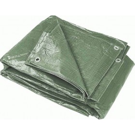 Bormann Μουσαμάς BTR2030 60gr/m² 4x5m 025900