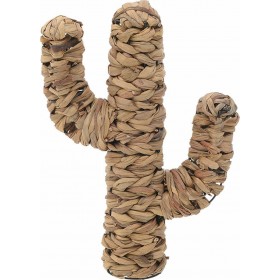 Inart 3-70-823-0236 Επιτραπέζιο Διακοσμητικό Κάκτος 31x10x46cm