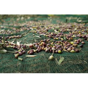 Olivenet Ελαιόδιχτο Extra 6x12m Πυκνότητας 110gr/m² Olivenet Ελαιόδιχτο Extra 6x12m Πυκνότητας 110gr/m²