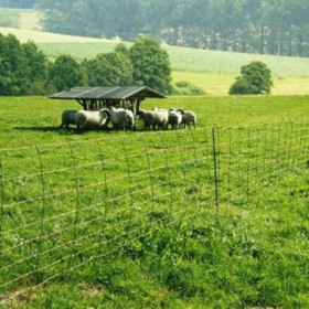 Δίχτυ Ηλεκτρικής Περίφραξης ΑιγοπροβάτωνΚωδικός Προϊόντος: 07.95.044 Δίχτυ Ηλεκτρικής Περίφραξης ΑιγοπροβάτωνΚωδικός Προϊόντος: 07.95.044