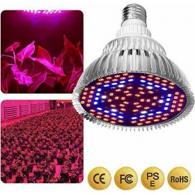 Λάμπα Ανάπτυξης Φυτών 30W για Ντουί E27Κωδικός: GROW30W 