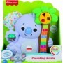 Fisher Price Linkimals Κοάλα το Αριθμούλι με Μουσική για 9+ ΜηνώνΚωδικός: GRG62/GRG67 
