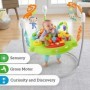 Fisher Price Baby Jumper Jumperoo Λιονταράκι με Μουσική για 6+ ΜηνώνΚωδικός: CHM91 