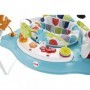 Fisher Price Baby Jumper Color Climbers με Μουσική για 12+ ΜηνώνΚωδικός: GWD42 