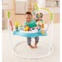 Fisher Price Baby Jumper Color Climbers με Μουσική για 12+ ΜηνώνΚωδικός: GWD42 