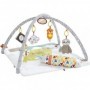 Fisher Price Γυμναστήριο Δραστηριοτήτων Deluxe Perfect Sense για ΝεογέννηταΚωδικός: GKD45 