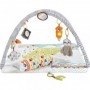 Fisher Price Γυμναστήριο Δραστηριοτήτων Deluxe Perfect Sense για ΝεογέννηταΚωδικός: GKD45 