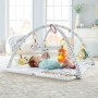 Fisher Price Γυμναστήριο Δραστηριοτήτων Deluxe Perfect Sense για ΝεογέννηταΚωδικός: GKD45 