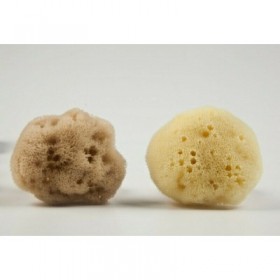 Φίνο Φυσικό Σφουγγάρι Καλύμνου για Μωρά