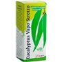 Vican Αρωματικά Χώρου Eucalyptus Vapo Stretto 100ml