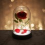 Paladone Παιδικό Διακοσμητικό Φωτιστικό Beauty And The Beast Enchanted Rose