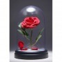 Paladone Παιδικό Διακοσμητικό Φωτιστικό Beauty And The Beast Enchanted Rose