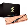 Gigabyte Aorus NVMe Gen4 SSD 1TB M.2 PCI Express 4.0Κωδικός: GP-ASM2NE6100TTTD 