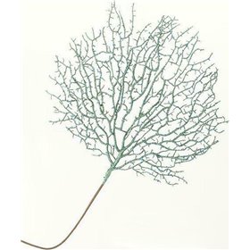 Χριστουγεννιάτικο Διακοσμητικό Λουλούδι Πλαστικό Χριστουγεννιάτικο Διακοσμητικό Λουλούδι Πλαστικό