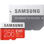 Samsung Evo Plus microSDXC 256GB U3 with Adapter (2020)