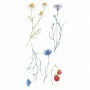Διακοσμητικό Αυτοκόλλητο Τοίχου Field Flowers Βινυλίου Ango