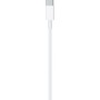 Apple Regular USB 3.0 Cable USB-C male - Lightning 1m (MX0K2ZM/A)