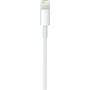 Apple Regular USB 3.0 Cable USB-C male - Lightning 1m (MX0K2ZM/A)