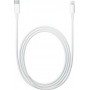 Apple Regular USB 2.0 Cable USB-C male - Lightning Λευκό 2m (MKQ42Z)