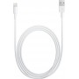 Apple USB to Lightning Cable White 2m (MD819)