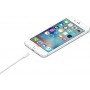 Apple Regular USB to Lightning Cable Λευκό 1m (MQUE2ZM/A)