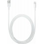 Apple USB to Lightning Cable Λευκό 0.5m (ME291)