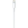 Apple USB to Lightning Cable Λευκό 0.5m (ME291)