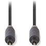 Nedis Optical Audio Cable TOS male - TOS male Μαύρο 1m (CABW25000AT10)