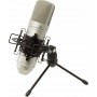 Tascam Πυκνωτικό Μικρόφωνο XLR TM-80 Τοποθέτηση Shock Mounted/Clip On Φωνής σε Χρυσό Χρώμα