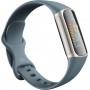 Fitbit Charge 5 Activity Tracker Αδιάβροχο Steel Blue
