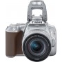 Canon DSLR Φωτογραφική Μηχανή EOS 250D Crop Frame Kit (EF-S 18-55mm F4-5.6 IS STM) Silver