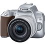 Canon DSLR Φωτογραφική Μηχανή EOS 250D Crop Frame Kit (EF-S 18-55mm F4-5.6 IS STM) Silver