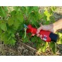 Ψαλίδι Κλαδέματος Μπαταρίας ES-1601