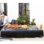 Cecotec PerfectSteak 4200 Way Ηλεκτρική Ψησταριά Σχάρας 2400W με Ρυθμιζόμενο Θερμοστάτη