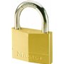 Master Lock 150EURD Λουκέτο Πέταλο με Κλειδί 50mm 150050112