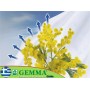 Gemma 11239 Αντιπαγετική Κουκούλα 18gr/m² 1.6x2.5m 11239