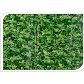 DV6100300 Κάλυμμα Μπαλκονιού Πράσινο 0.75x4.45m