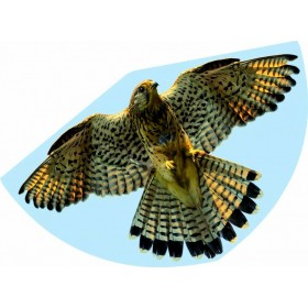 Πλαστικός Χαρταετός Αναδιπλούμενος Falke 62x92εκ Πλαστικός Χαρταετός Αναδιπλούμενος Falke 62x92εκ