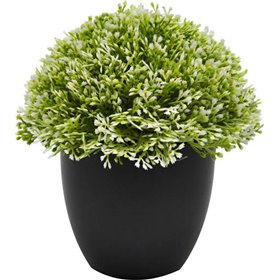 Ankor Τεχνητό Φυτό σε Γλαστράκι 16cmΚωδικός: 797523 