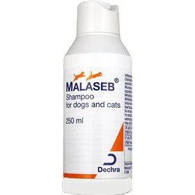 Dechra Malaseb Σαμπουάν Σκύλου 250ml Dechra Malaseb Σαμπουάν Σκύλου 250ml