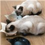 Navaris Cat Bowls with Ears Σετ με 3 Μπολ Φαγητού και Νερού σε Σχήμα Γάτας Μαύρο / Γκρι / Λευκό