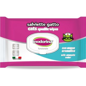 Inodorina Υγρά Μαντηλάκια Καθαρισμού 40τμχ Inodorina Υγρά Μαντηλάκια Καθαρισμού 40τμχ
