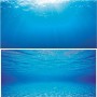 Juwel Double Face Διακοσμητική Αφίσα Ενυδρείου 2 Large Blue Water 100x50cm