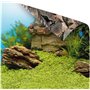 Juwel Double Face Διακοσμητική Αφίσα Ενυδρείου 1 XL Plant/Reef 150x60cm