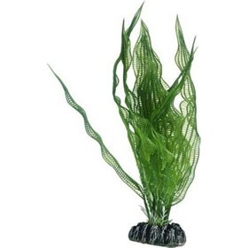 Hobby Aponogeton Πλαστικά Φυτά Ενυδρείου 25cm Hobby Aponogeton Πλαστικά Φυτά Ενυδρείου 25cm